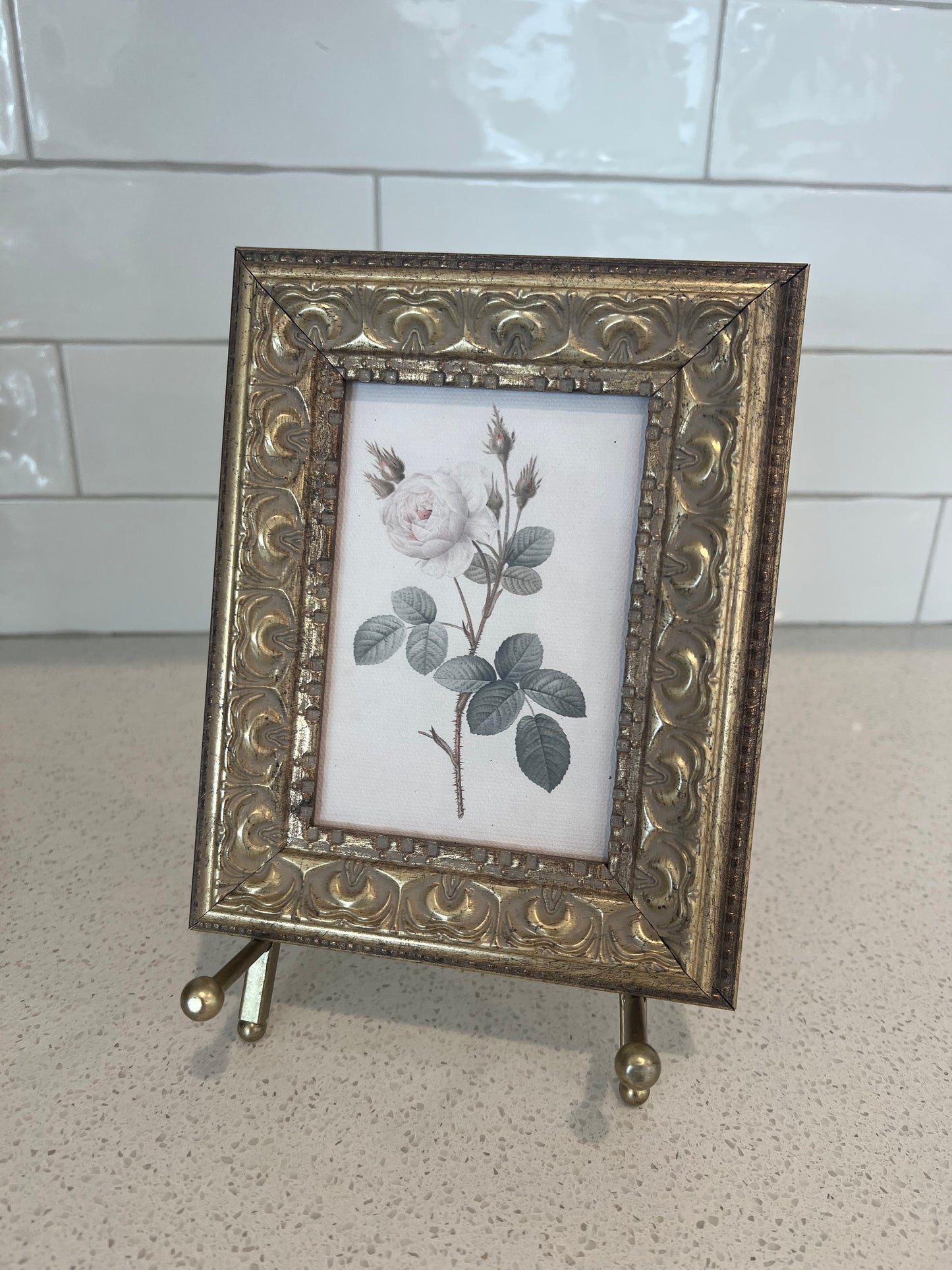White Rose Framed Art