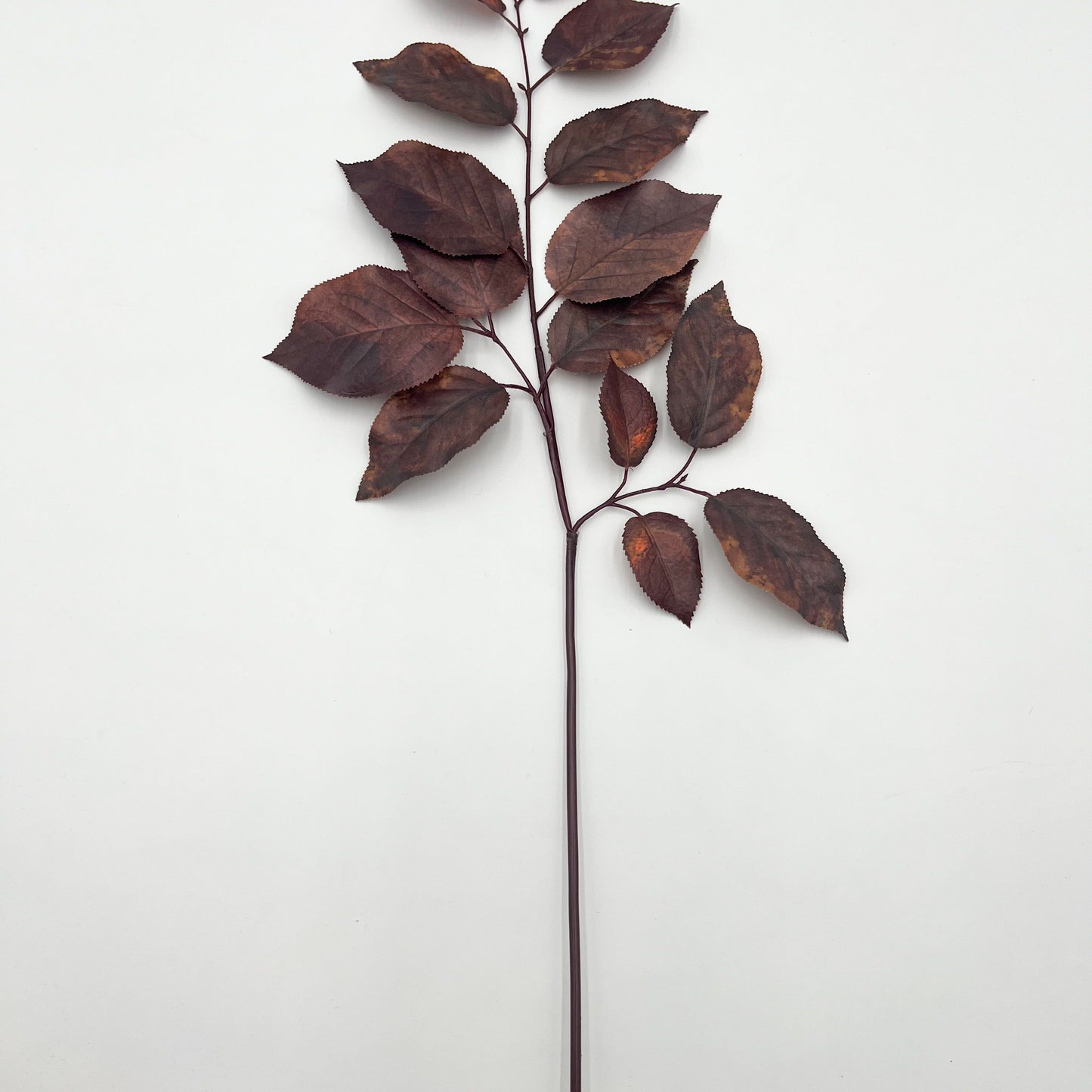 Salal Leaf Spray in Brown - 29"