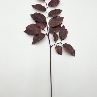 Salal Leaf Spray in Brown - 29"