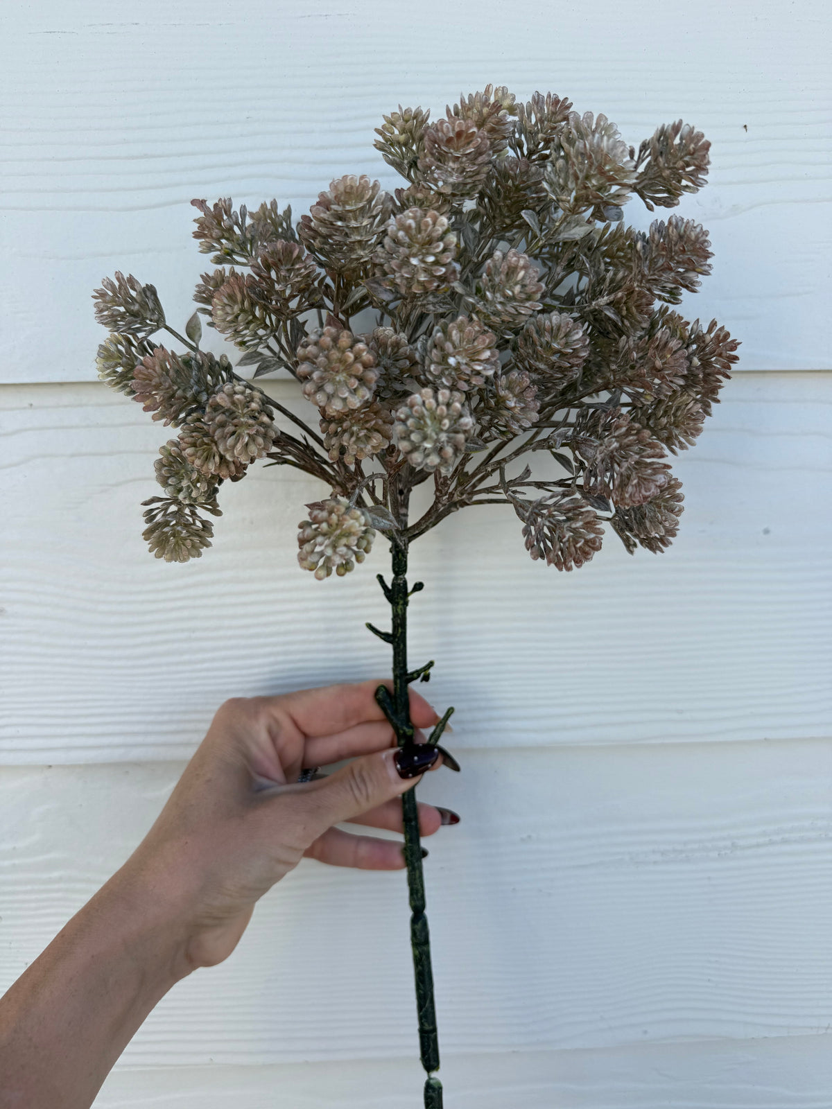Light Brown Sedum Spray - 20.5"
