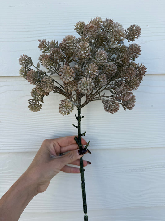 Light Brown Sedum Spray - 20.5"