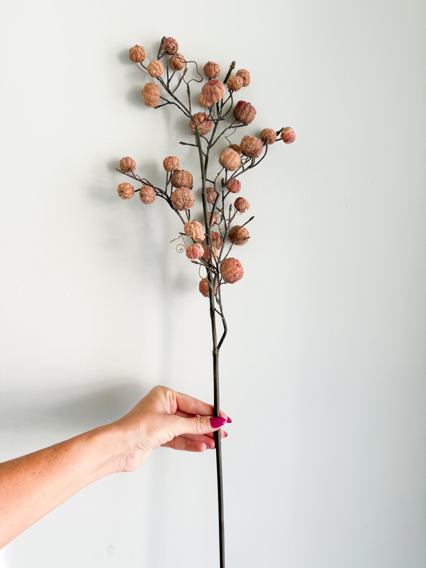 Tan Berry Stem - 31"