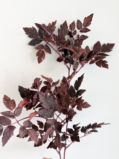 Ramosa Leaf Spray - 31”