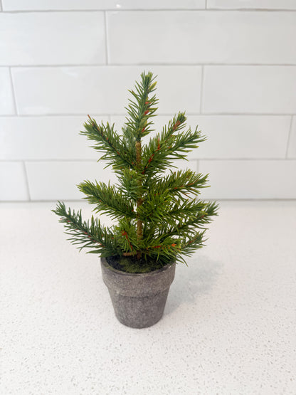 Potted Pines - 3 tree styles & 2 different sizes