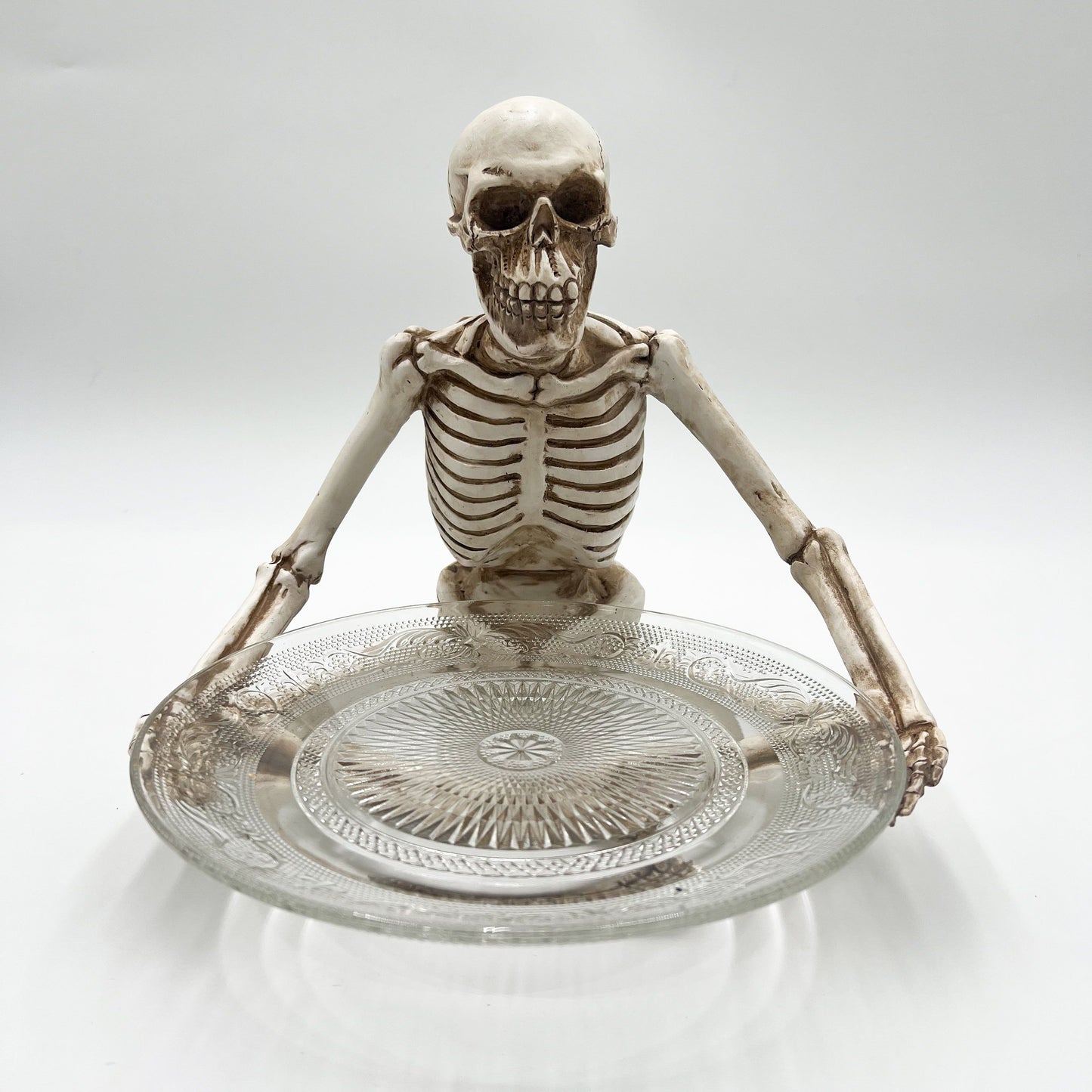 Sitting Skeleton Holding Glass Plate