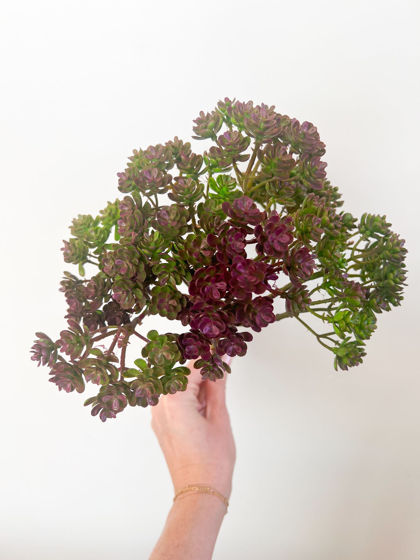 Purple Sedum Bush - 12.5"