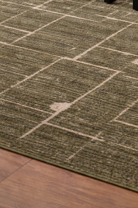 Rug - 6’7x9