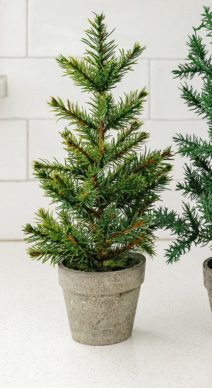 Potted Pines - 3 tree styles & 2 different sizes