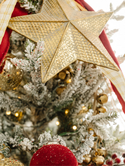 Star Ornament - 8"