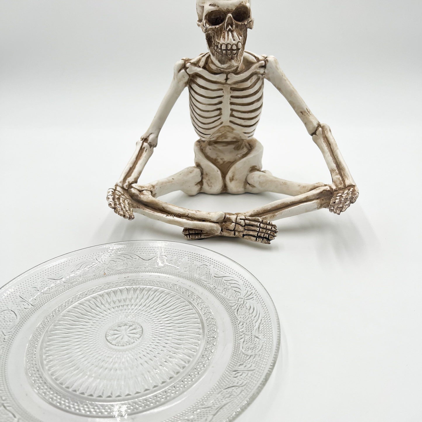 Sitting Skeleton Holding Glass Plate