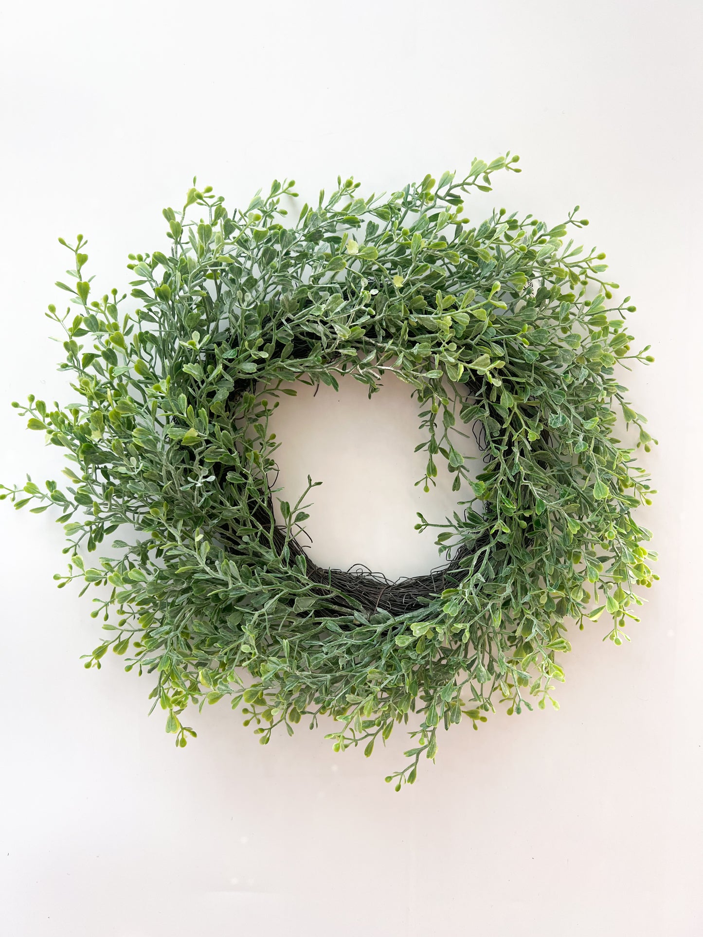 Mini Boxwood Wreath - 15"