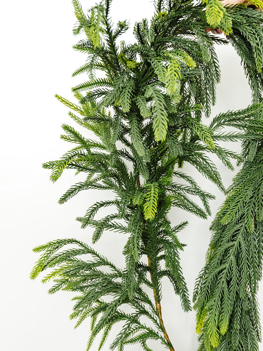 Box of 6 - Norfolk Pine Garland - 73"