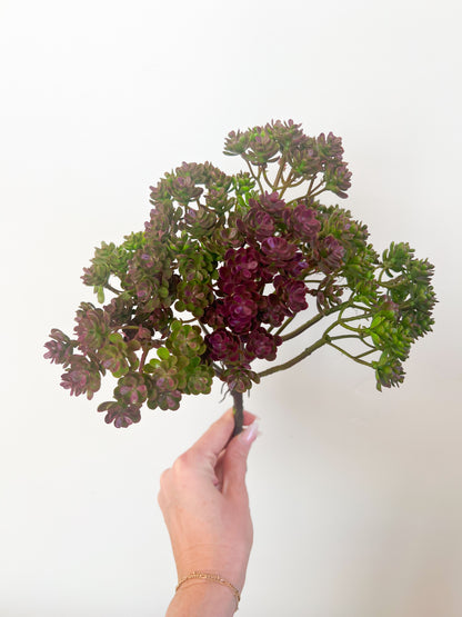 Purple Sedum Bush - 12.5"