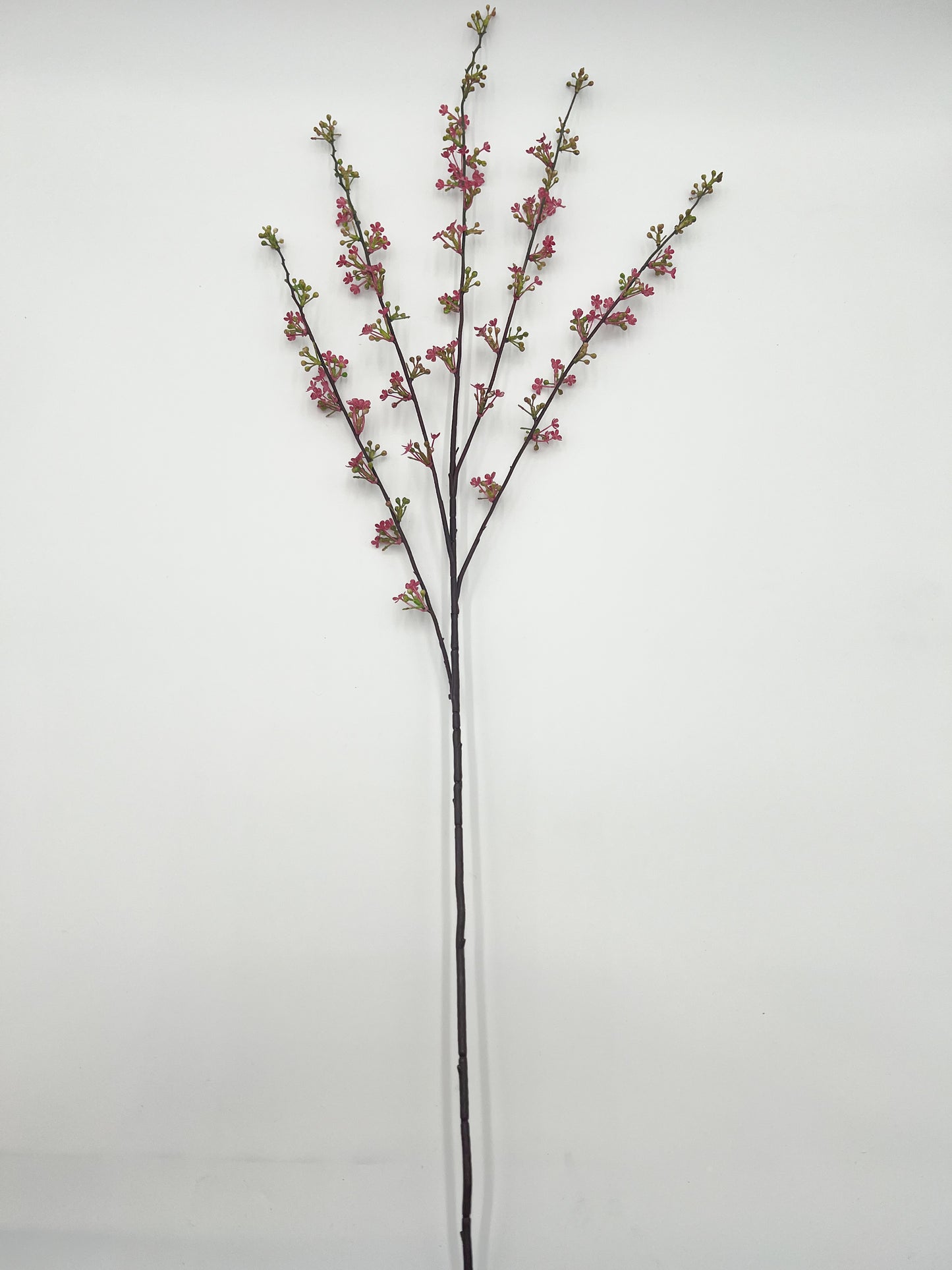 Hoary Willow Stem in Pink- 46"