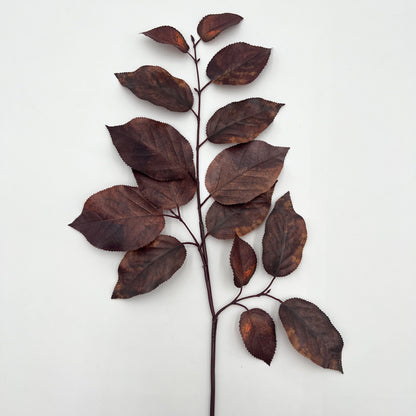 Salal Leaf Spray in Brown - 29"