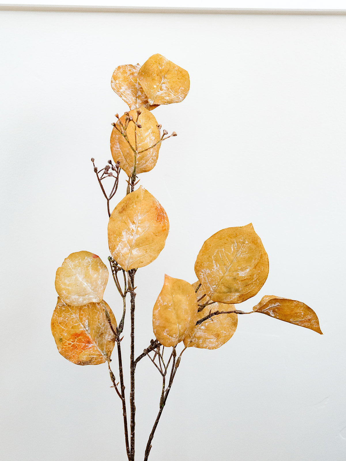 Fall Eucalyptus Spray - 31"