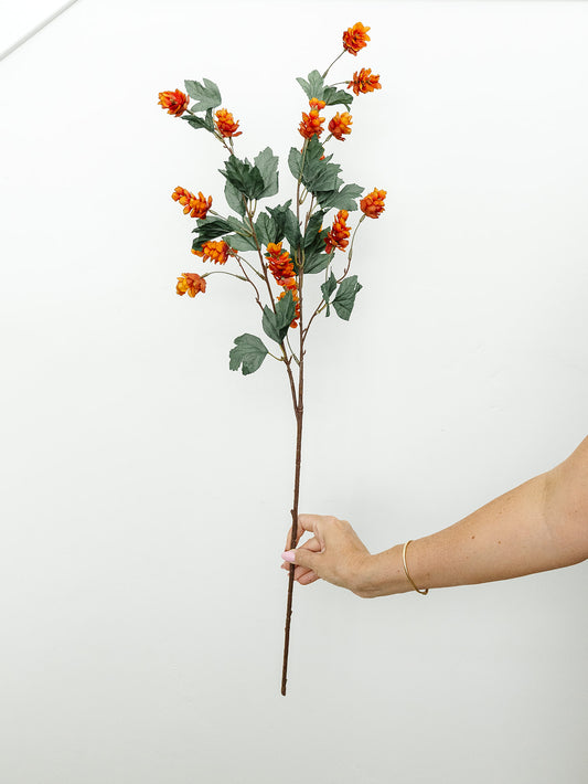 Rust Hop Spray - 35"