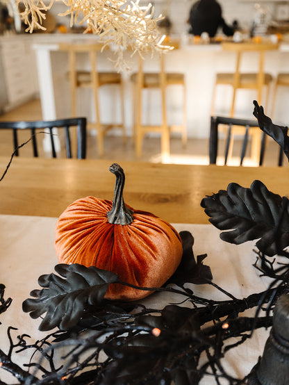 Velvet Orange Pumpkin