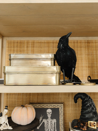 Black Crow - 2 Sizes