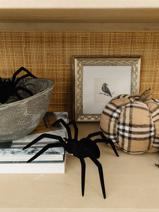 Large Spider With Clip