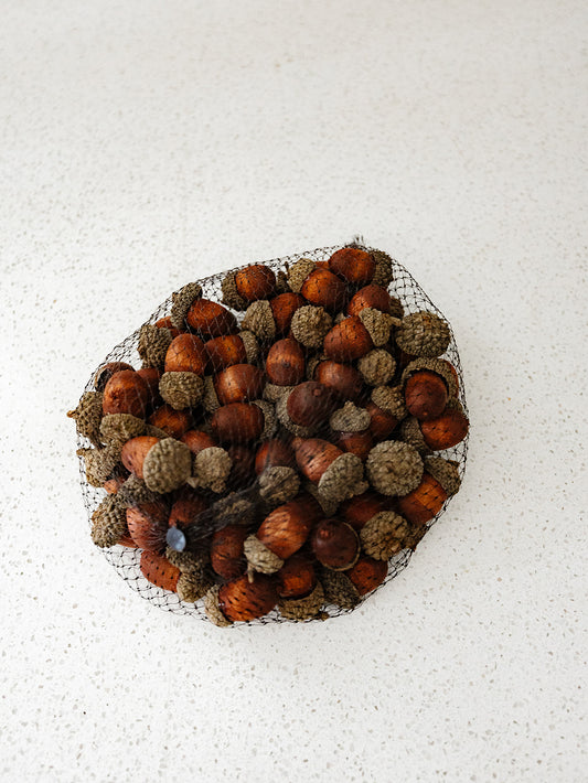 Bag of Acorns- 75