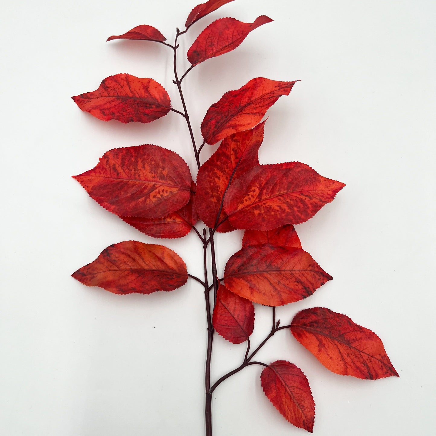 Salal Leaf Spray in Orange - 29"