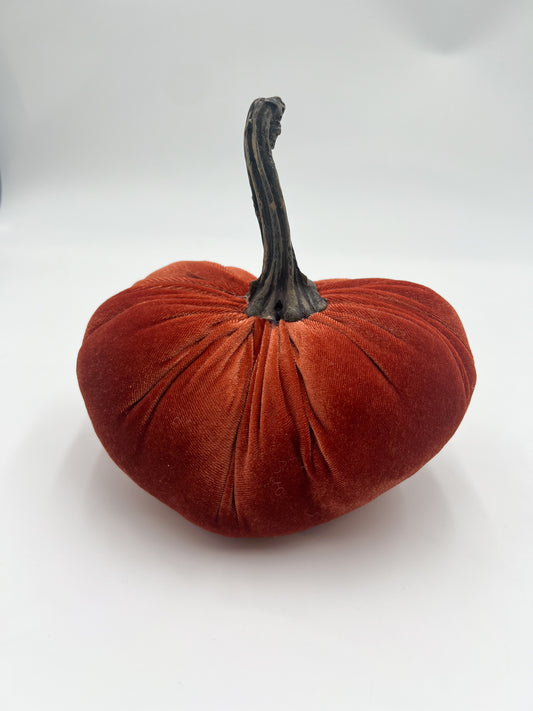 Velvet Orange Pumpkin