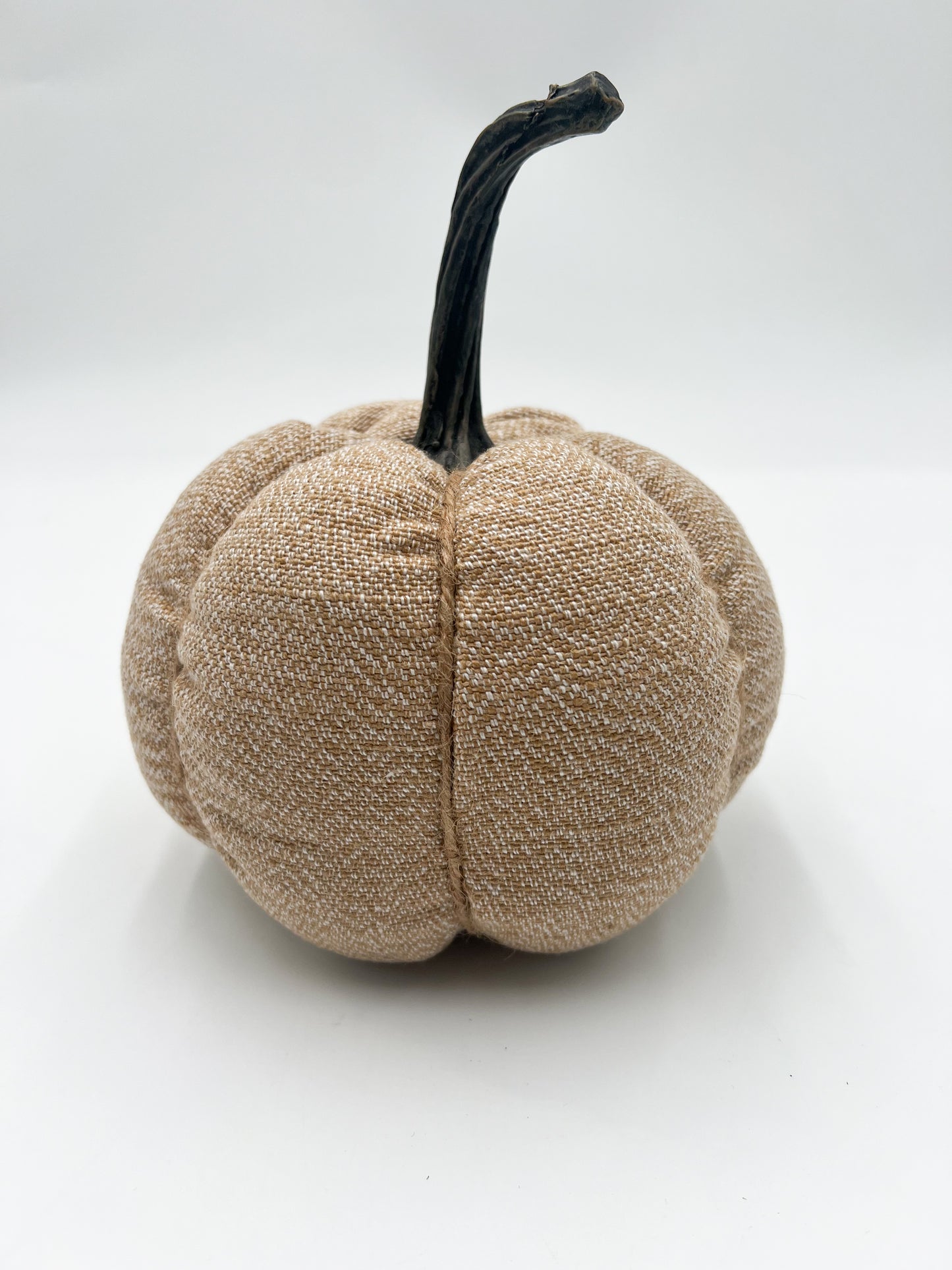 Cream & Tan Pumpkin