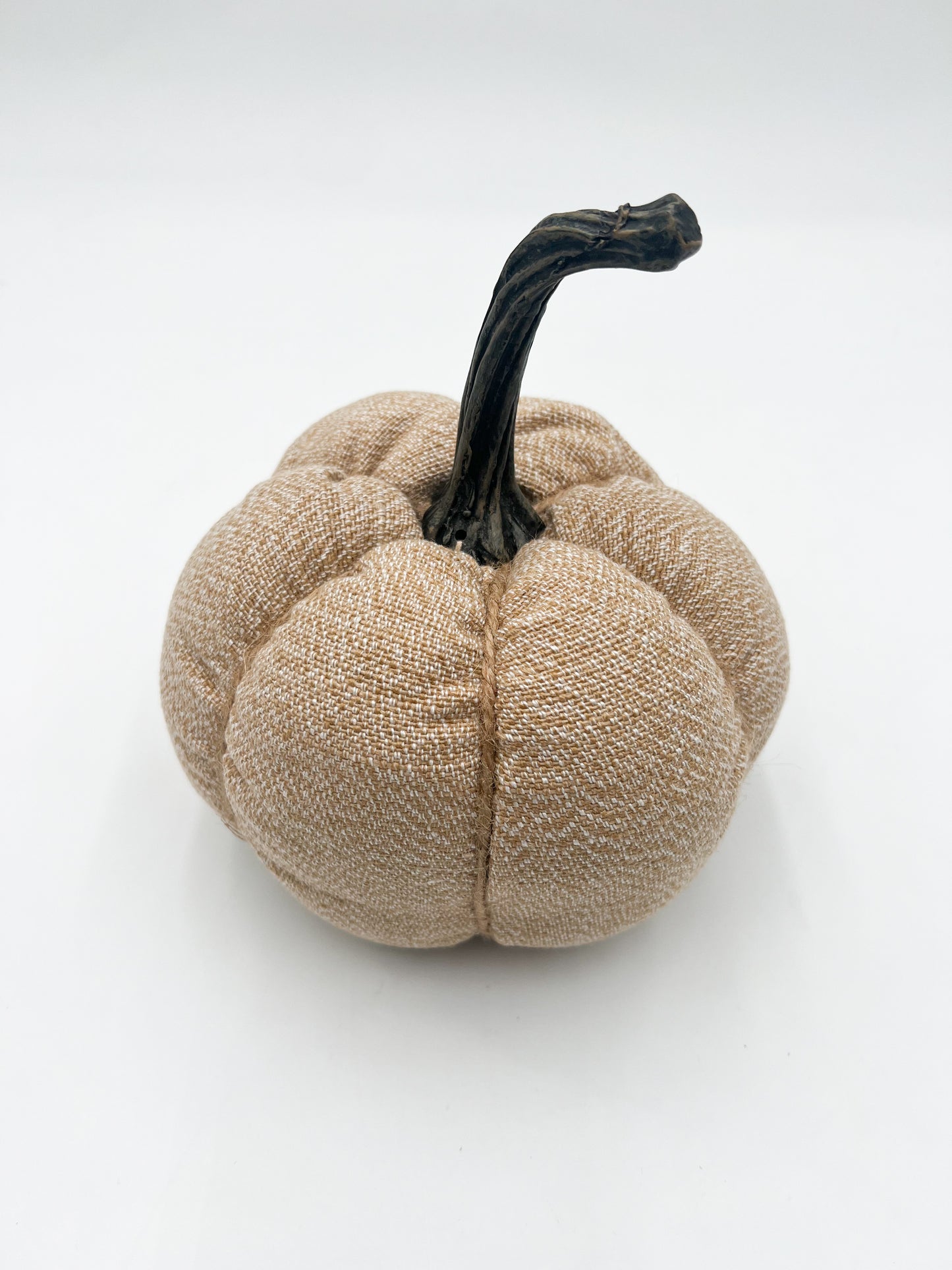 Cream & Tan Pumpkin