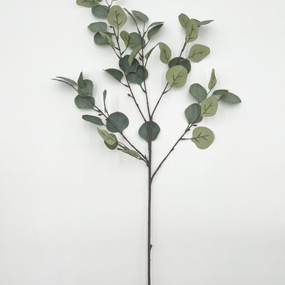 Eucalyptus Spray in Green- 36.5"