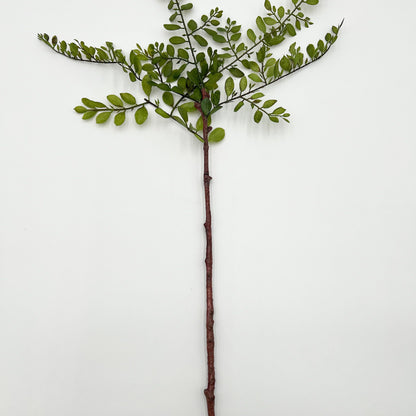 Sophora Japonica Leaf Stem- 26"