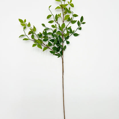 Green Nandina sprayed stem - 32"