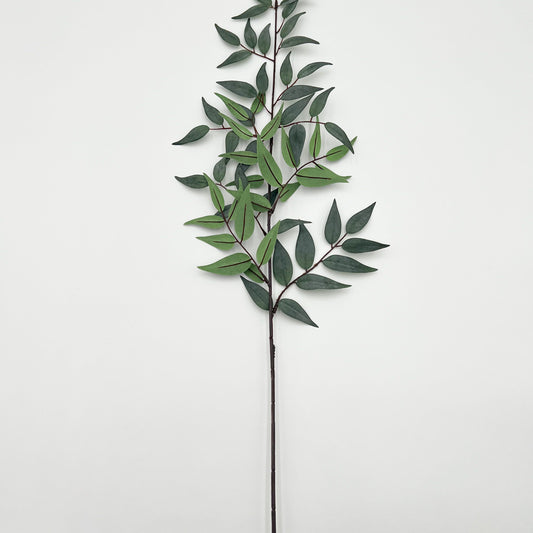 Antiqued Ruscus Leaf Stem-36"