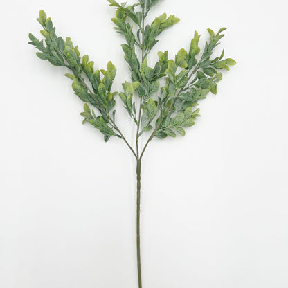 Boxwood Stem- 26"