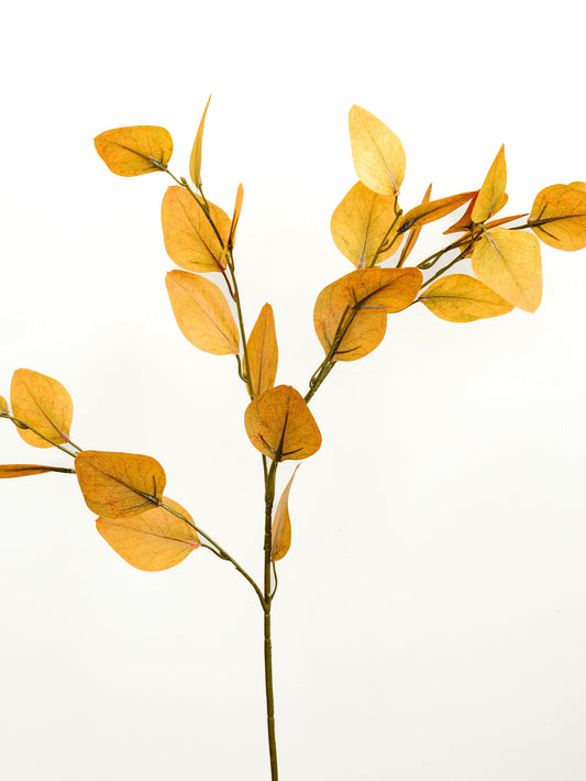 Light Rust Eucalyptus Leaf Spray - 36"