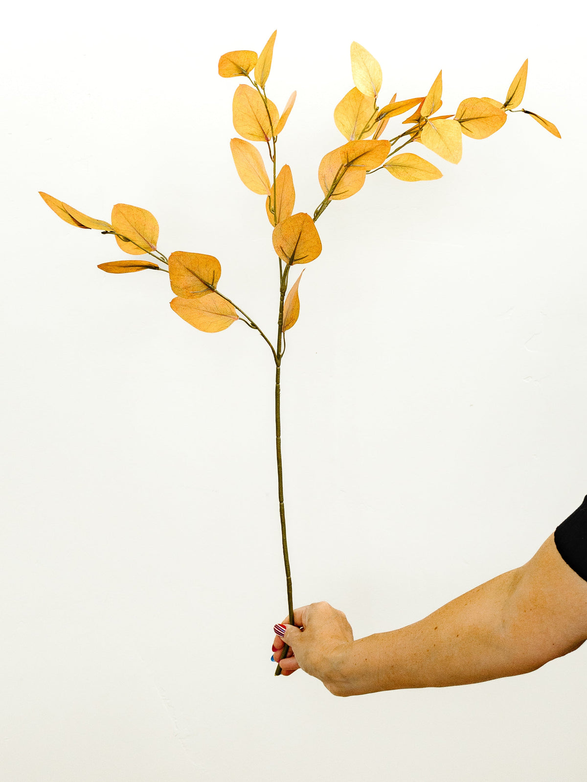 Light Rust Eucalyptus Leaf Spray - 36"