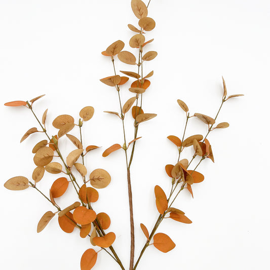 Two Toned Fall Eucalyptus - 34”