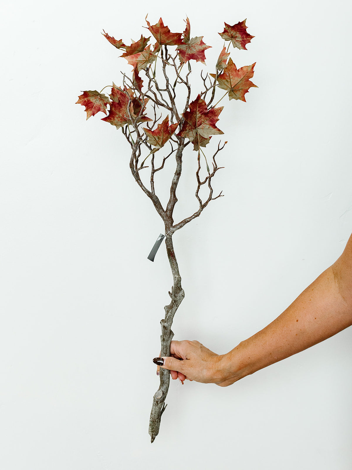 Oak Branch - 32"