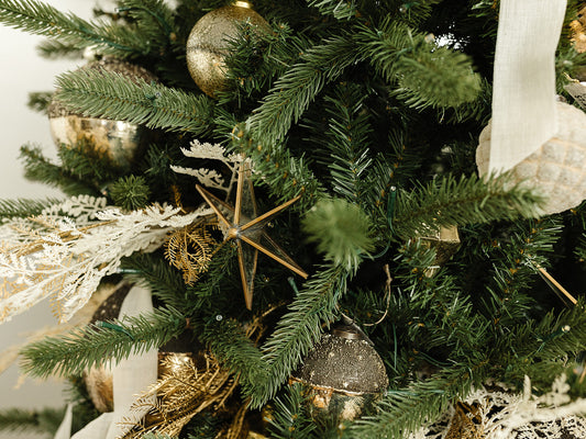 Northern Star Ornament - 6.5" x 6.5”