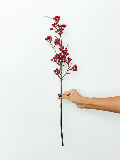 Iced Red Berry Spray - 27"