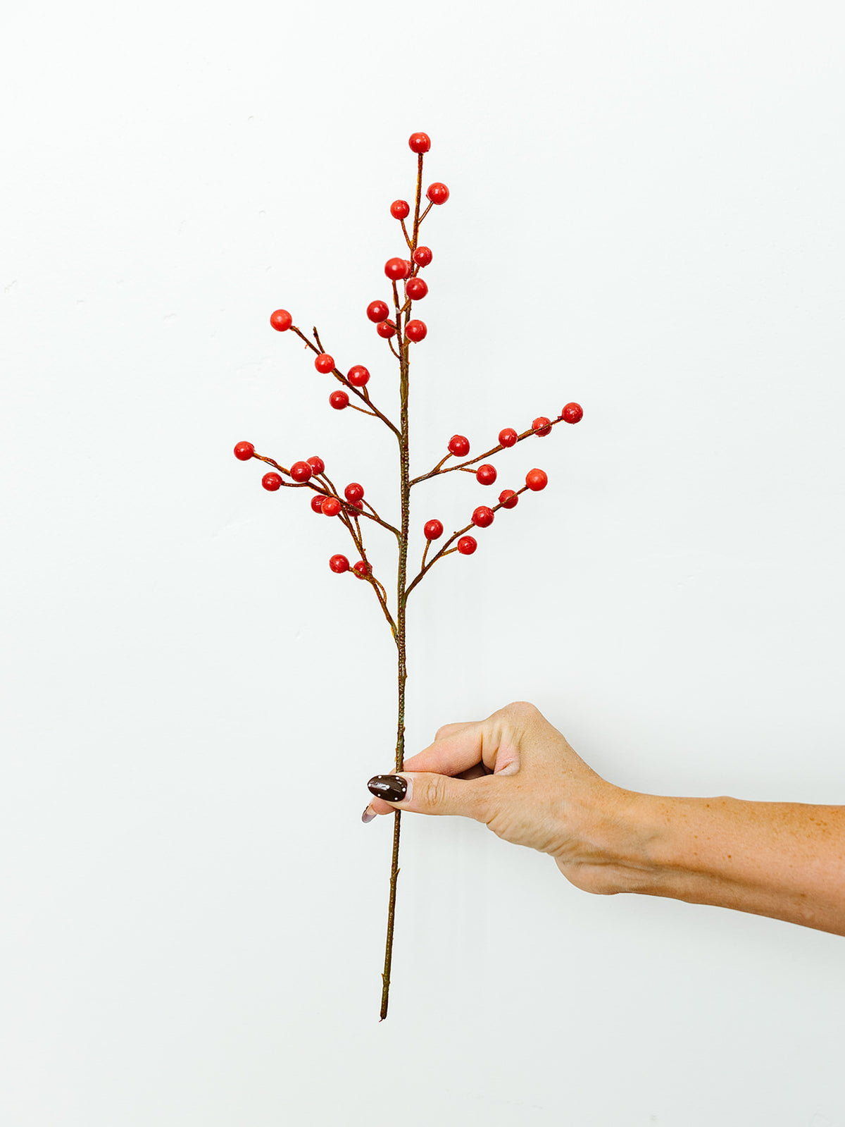 Red Berry Spray - 18”