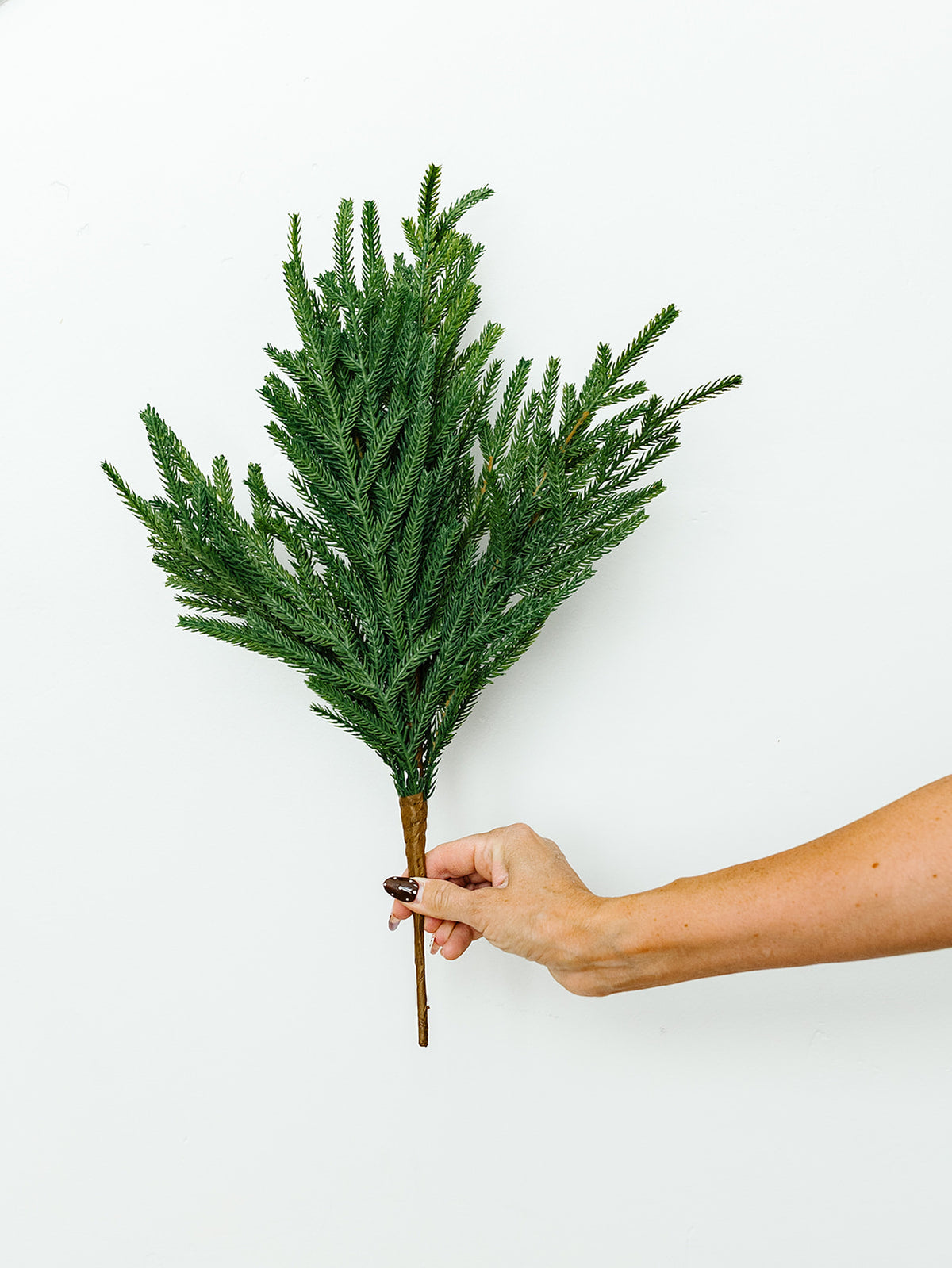 Cypress Spray - 20"