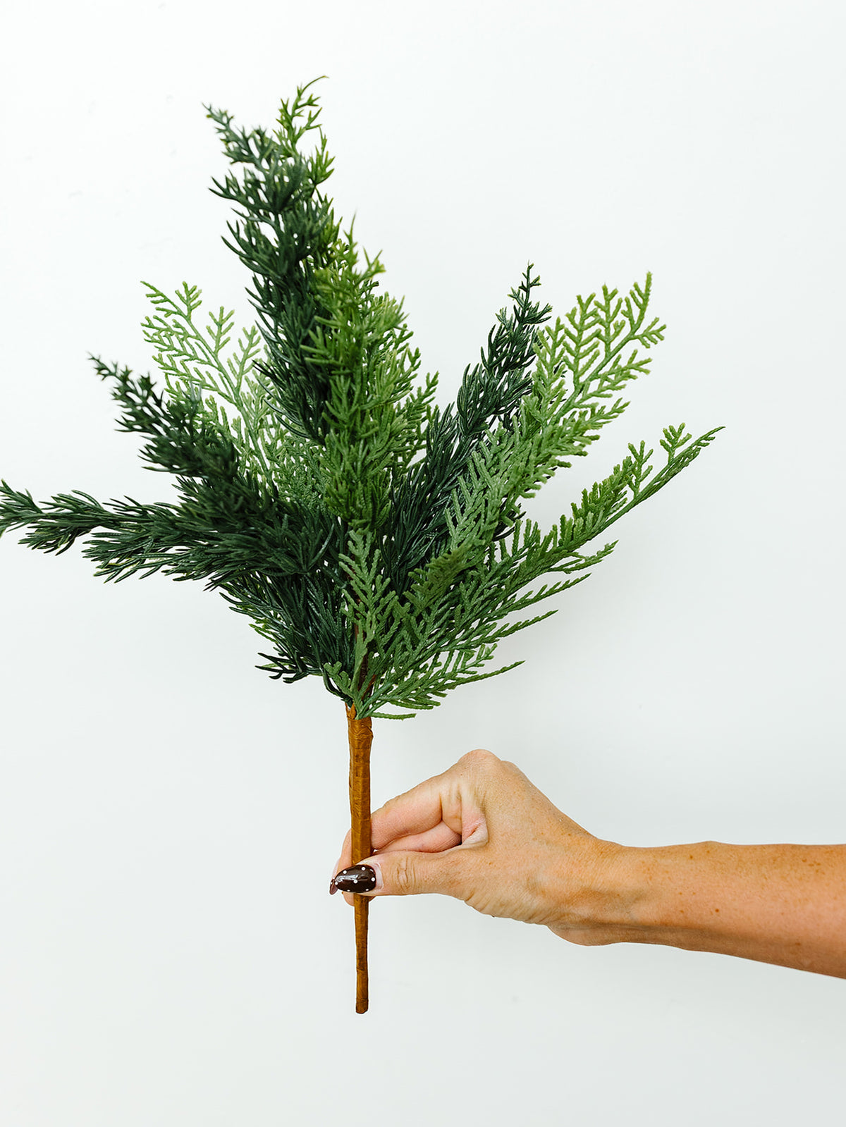 Mixed Cypress Bush - 17"