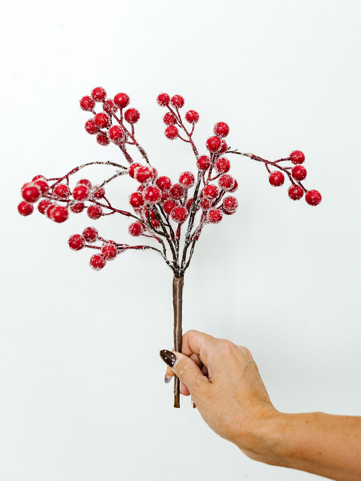Iced Red Rosehip Bush - 14"