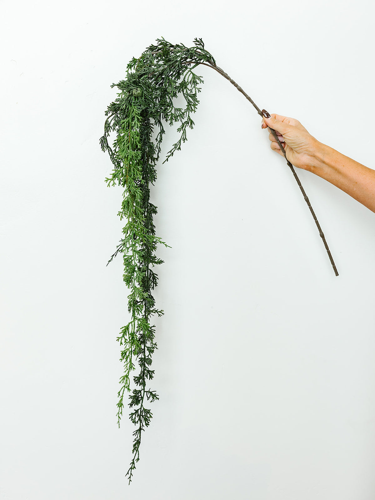 Soft Cedar Hanging Spray - 56"