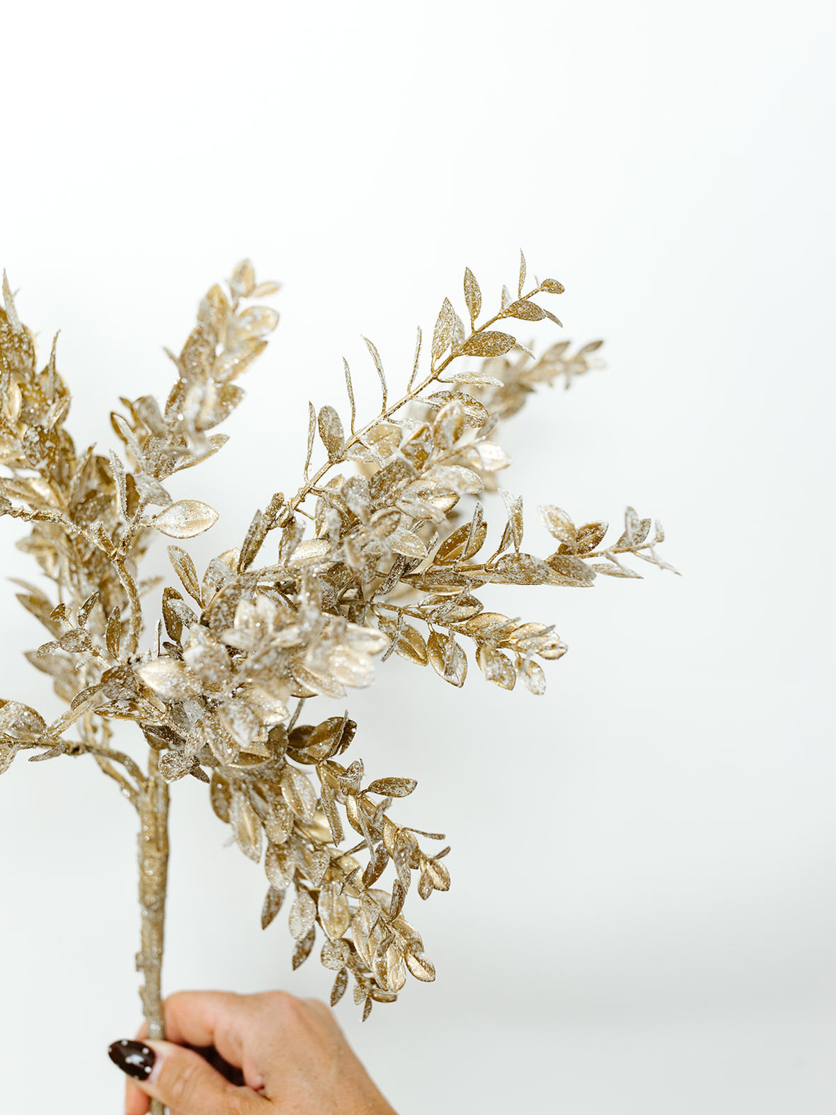 Champagne Glittered Boxwood Spray - 17"
