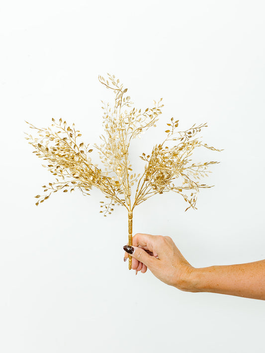 Gold Mini Boxwood Bush - 16"