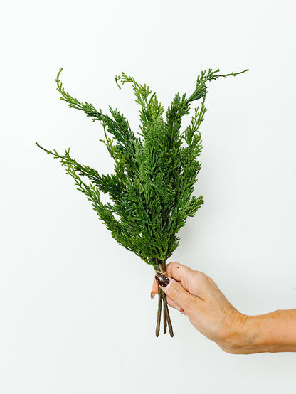 Cypress Bundle - 16"