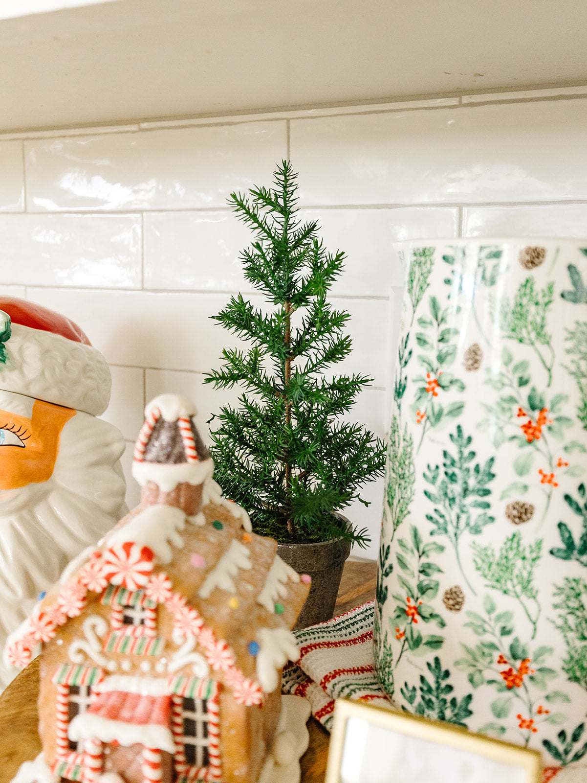 Potted Pines - 3 tree styles & 2 different sizes