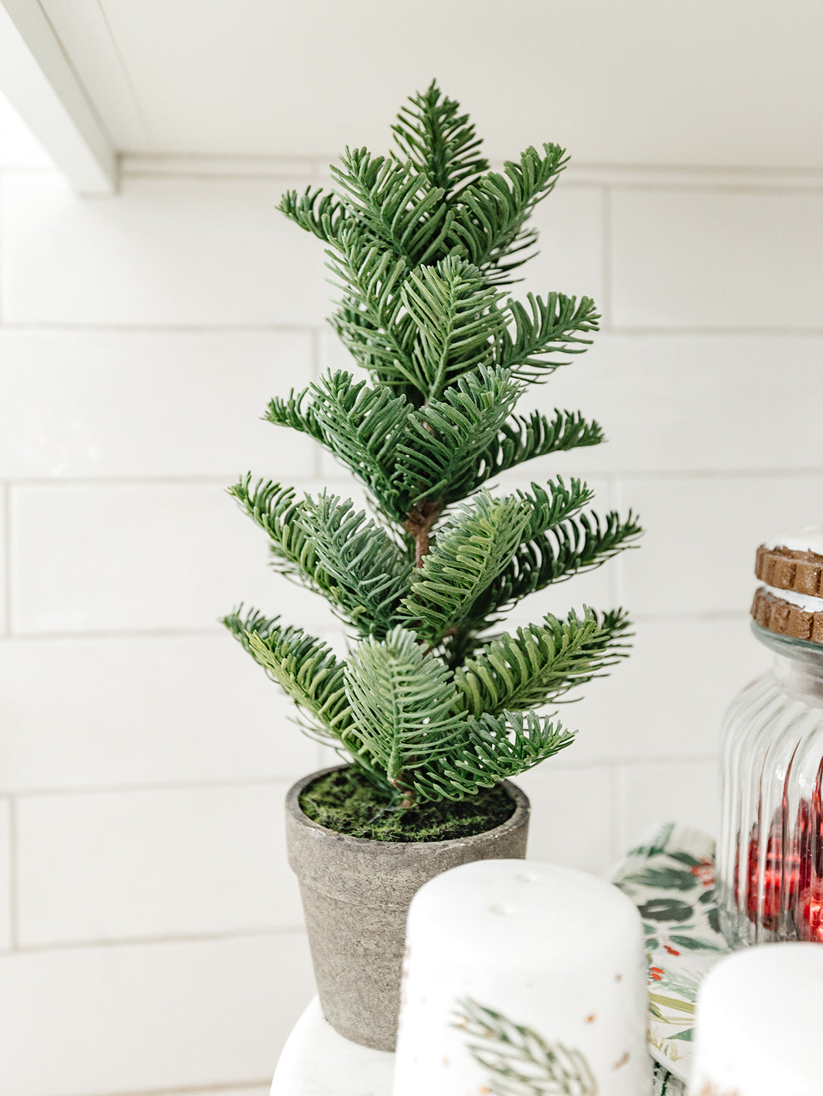 Potted Pines - 3 tree styles & 2 different sizes